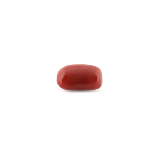 Red Coral - 12.67 Carat