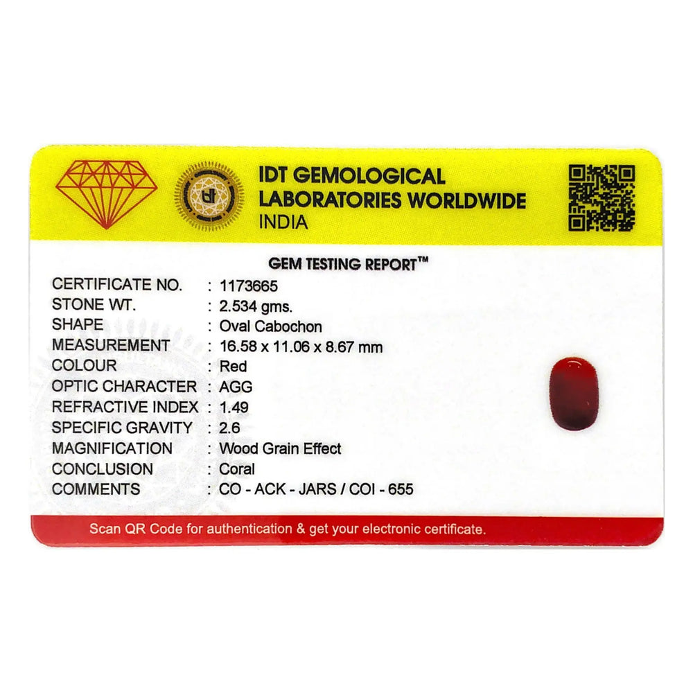 Red Coral - 12.67 Carat - Pramogh