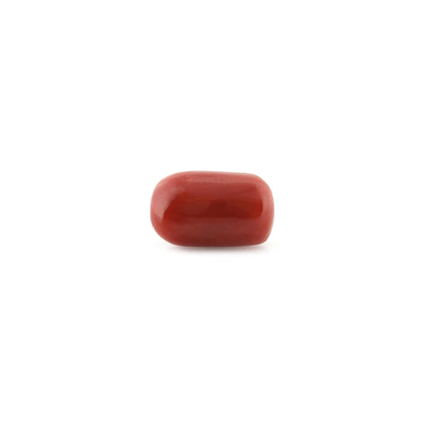 Red Coral - 7.66 Carat