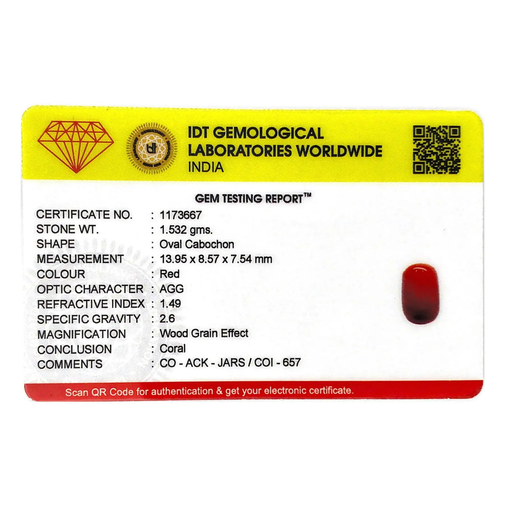Red Coral - 7.66 Carat - Pramogh