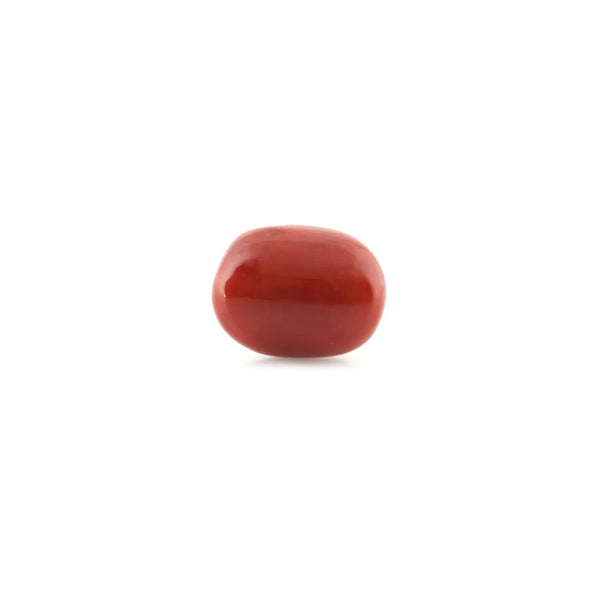 Red Coral - 12.36 Carat