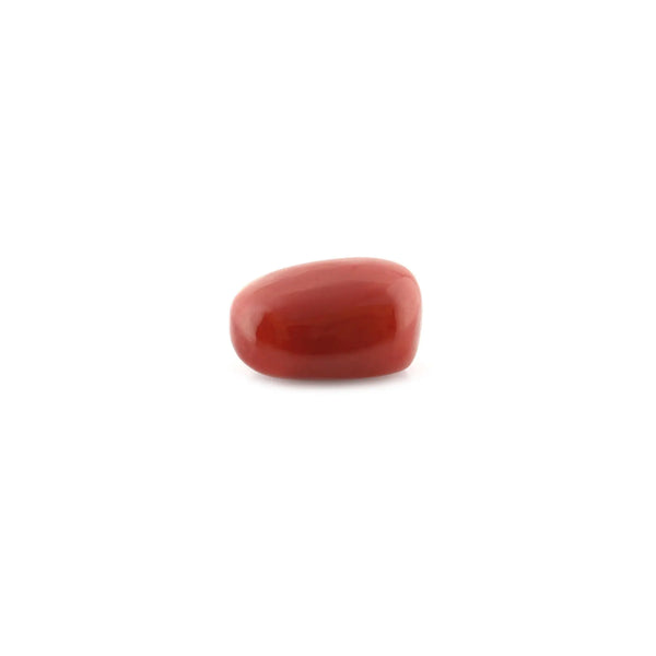 Red Coral - 12.36 Carat