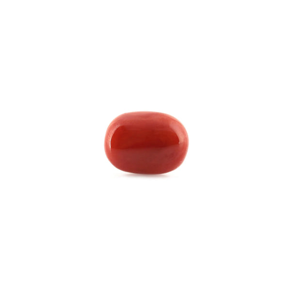 Red Coral - 13.23 Carat