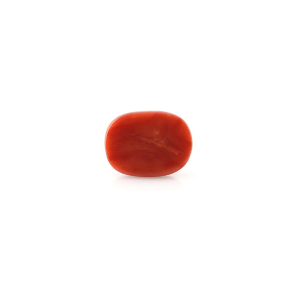 Red Coral - 13.23 Carat