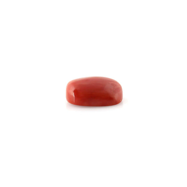 Red Coral - 13.23 Carat