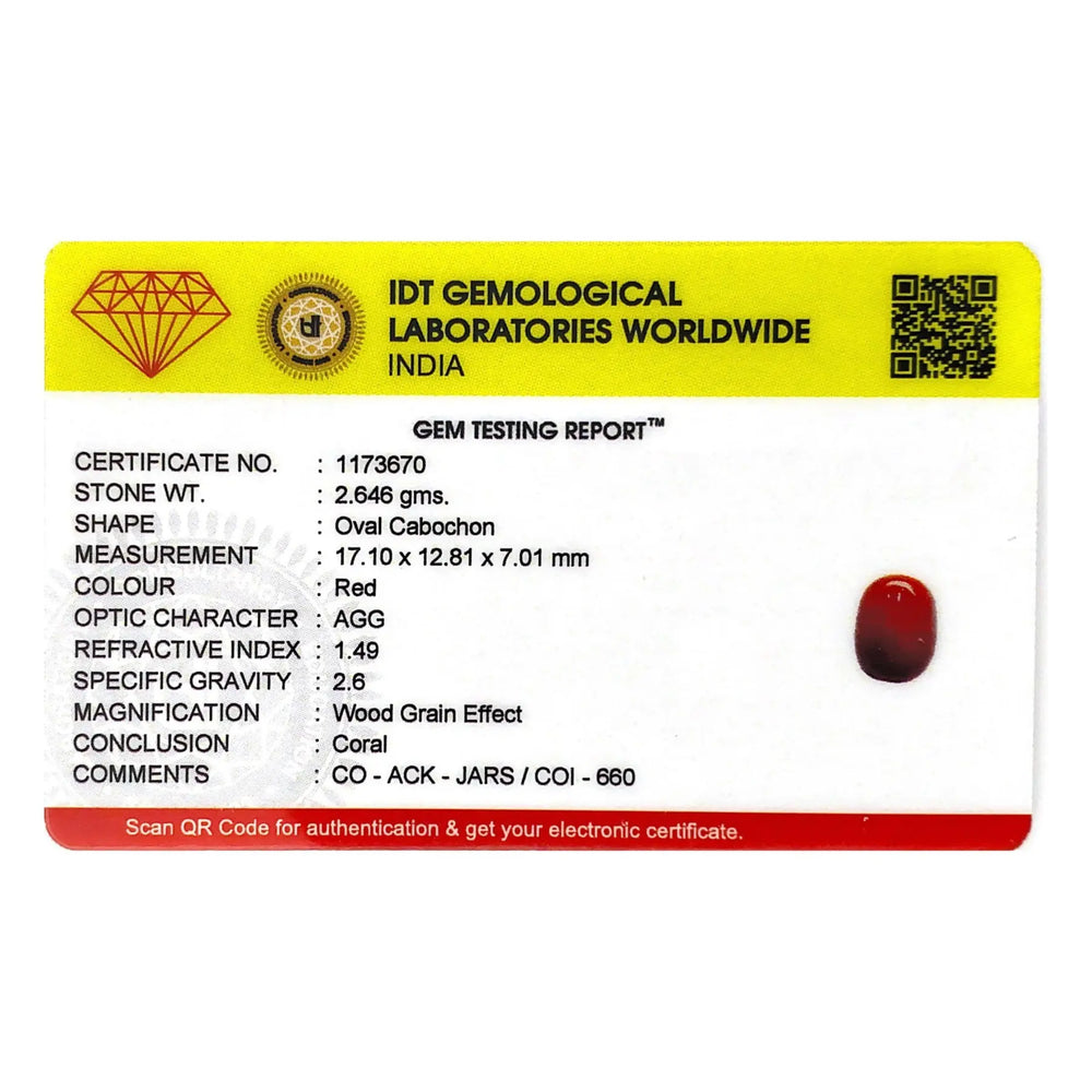 Red Coral - 13.23 Carat - Pramogh