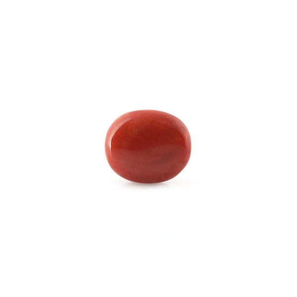 Red Coral - 17.42 Carat