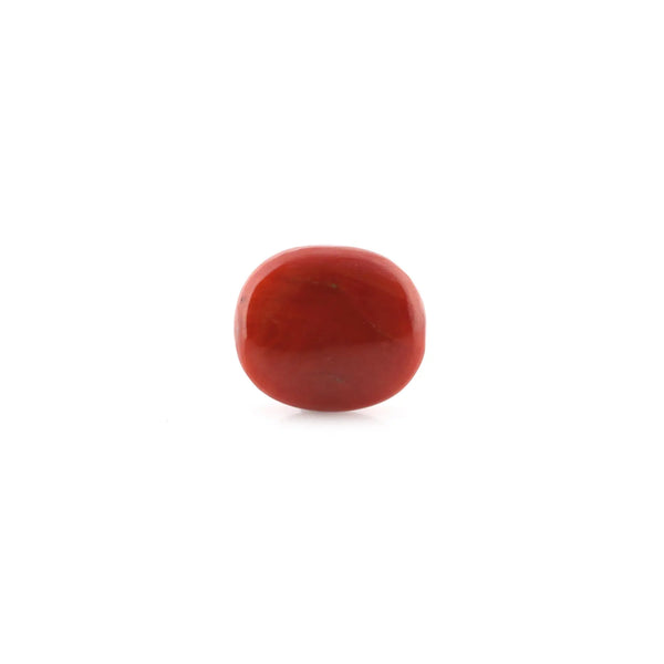 Red Coral - 17.42 Carat