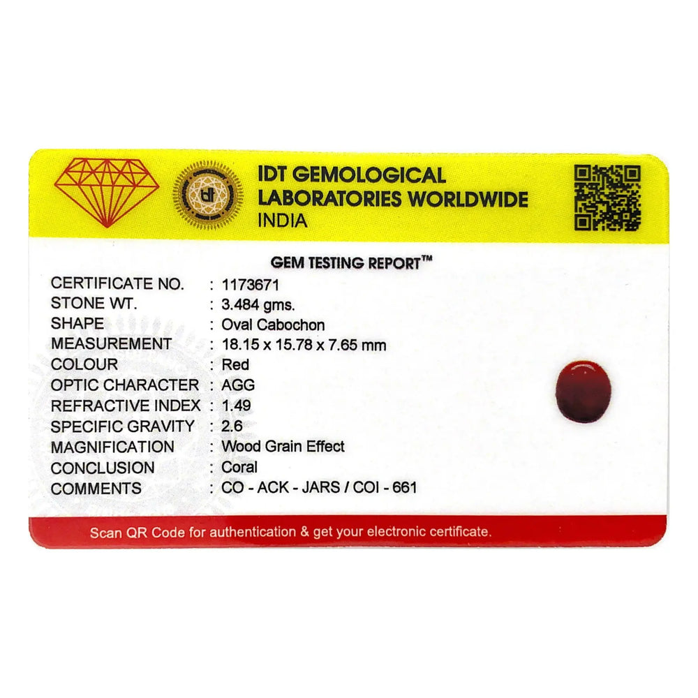 Red Coral - 17.42 Carat - Pramogh