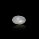 Moonstone - 8.25 Carat - Pramogh
