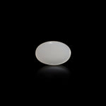 Moonstone - 10.8 Carat
