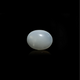 Moonstone - 14.05 Carat - Pramogh