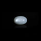 Moonstone - 15.5 Carat - Pramogh
