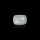 Moonstone - 12.4 Carat - Pramogh