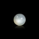 Moonstone - 11.55 Carat - Pramogh