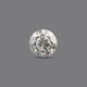 Natural Diamond - 0.53 Carat - Pramogh