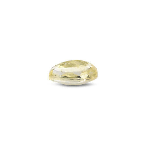 Yellow Sapphire - 2.6 Carat