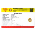 Yellow Sapphire - 3.2 Carat