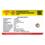 Yellow Sapphire - 4.85 Carat