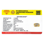 Yellow Sapphire - 3.05 Carat