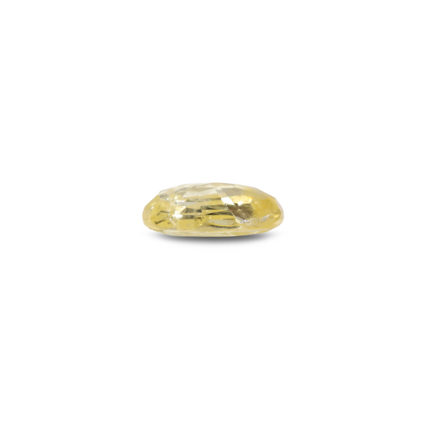 Yellow Sapphire - 3.1 Carat