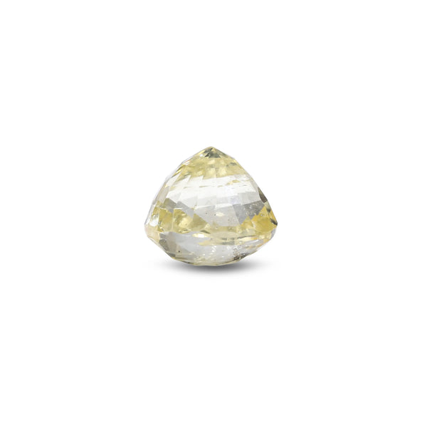 Yellow Sapphire - 2.65 Carat