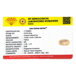Yellow Sapphire - 3.05 Carat