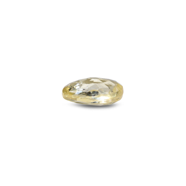 Yellow Sapphire - 2.6 Carat