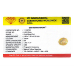 Yellow Sapphire - 3.05 Carat