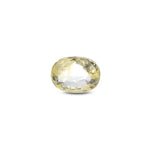 Srilankan Yellow Sapphire - 3.1 Carat - Pramogh