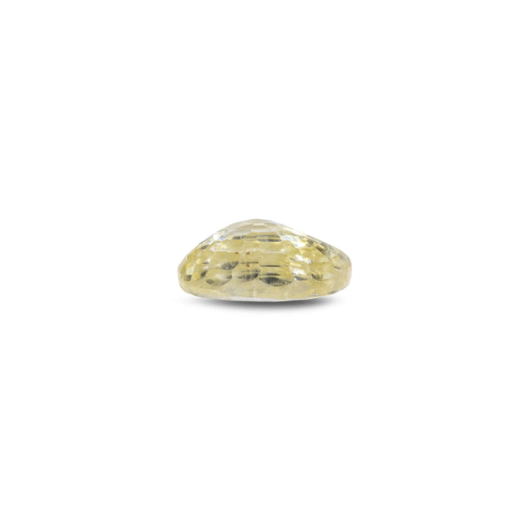Yellow Sapphire - 3.1 Carat
