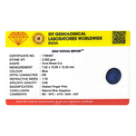 Blue Sapphire - 10.41 Carat