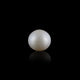 Pearl - 7.2 Carat - Pramogh