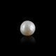 Pearl - 7.3 Carat - Pramogh
