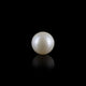 Pearl - 7.5 Carat - Pramogh