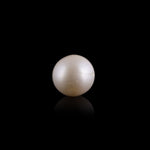 Pearl - 7.35 Carat - Pramogh