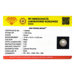 Pearl - 7.2 Carat - Pramogh