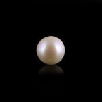 Pearl - 8.15 Carat - Pramogh