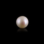 Pearl - 8.15 Carat - Pramogh
