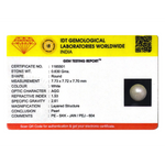 Pearl - 3.15 Carat - Pramogh
