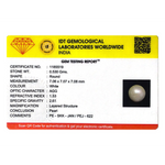 Pearl - 2.65 Carat - Pramogh