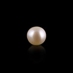 Pearl - 3.1 Carat - Pramogh