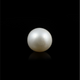 Pearl (Moti) - 5.85 Carat - Pramogh