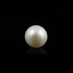 Pearl - 5.85 Carat