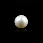 Pearl - 5.5 Carat