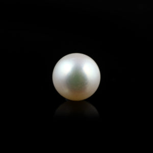 Pearl (Moti) - 5.5 Carat - Pramogh