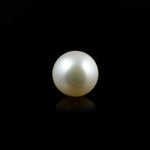 Pearl (Moti) - 5.65 Carat - Pramogh