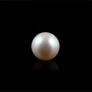 Pearl (Moti) - 5.2 Carat - Pramogh