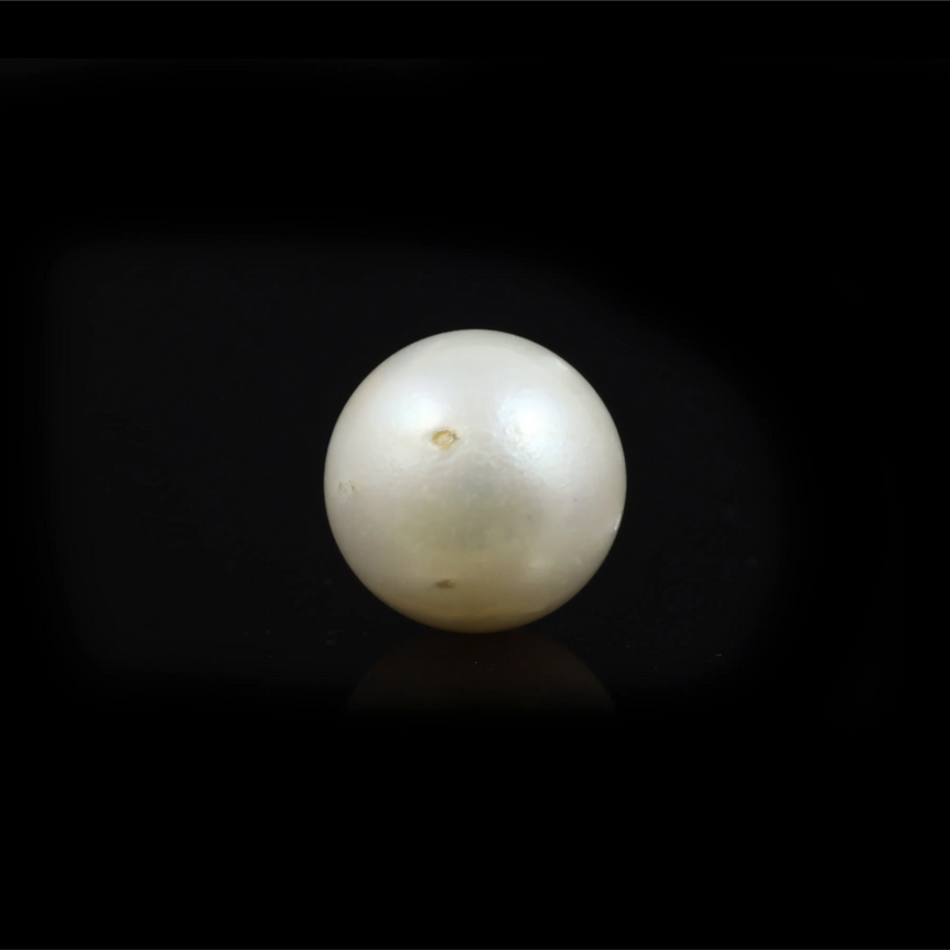 Pearl - 10.85 Carat