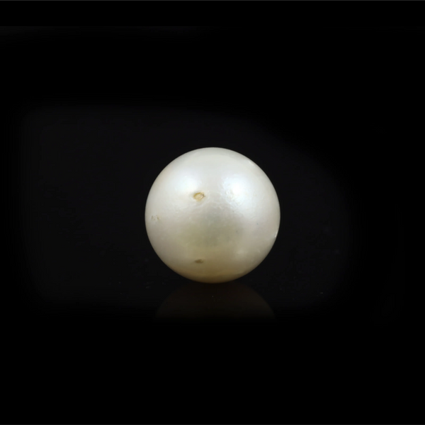 Pearl - 10.85 Carat